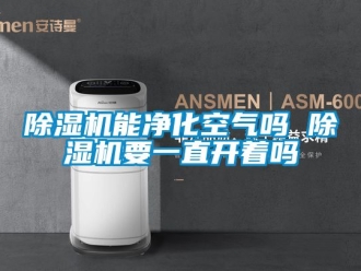 行業新聞除濕機能凈化空氣嗎 除濕機要一直開著嗎