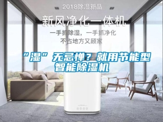 常見問題“濕”無忌憚？就用節能型智能除濕機