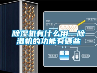行業新聞除濕機有什么用—除濕機的功能有哪些