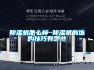 行業新聞除濕機怎么樣 除濕機的選購技巧有哪些