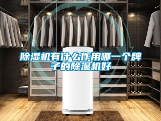 行業新聞除濕機有什么作用哪一個牌子的除濕機好