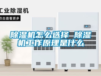 行業新聞除濕機怎么選擇 除濕機工作原理是什么