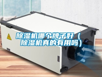 行業新聞除濕機哪個牌子好（ 除濕機真的有用嗎）