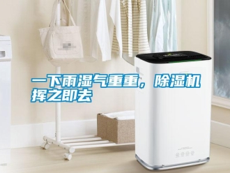 知識百科一下雨濕氣重重，除濕機揮之即去