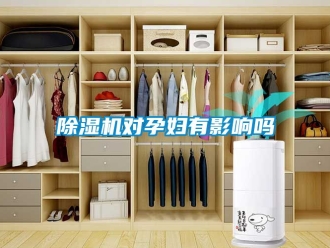 行業(yè)新聞除濕機對孕婦有影響嗎