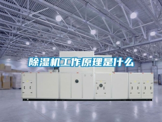 行業新聞除濕機工作原理是什么