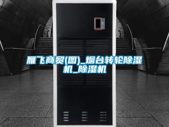 常見問題雁飛商貿(圖)_煙臺轉輪除濕機_除濕機