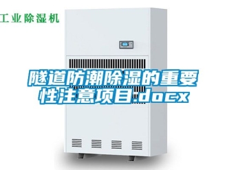 常見問題隧道防潮除濕的重要性注意項目.docx