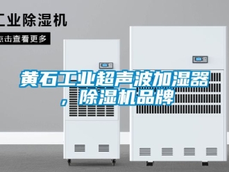 常見問題黃石工業超聲波加濕器，除濕機品牌