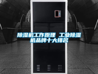 常見問題除濕機工作原理 工業除濕機品牌十大排名