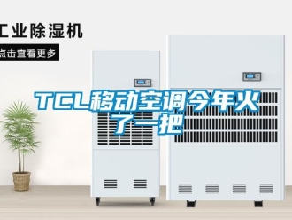 常見問題TCL移動空調(diào)今年火了一把