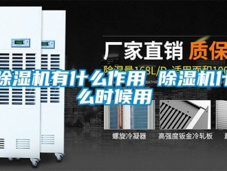 行業新聞除濕機有什么作用 除濕機什么時候用