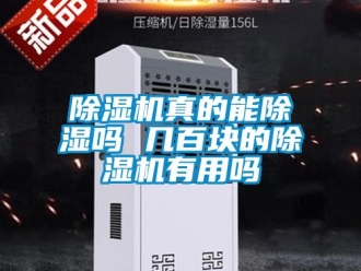 行業新聞除濕機真的能除濕嗎 幾百塊的除濕機有用嗎