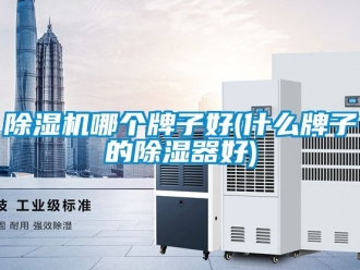 行業(yè)新聞除濕機哪個牌子好(什么牌子的除濕器好)