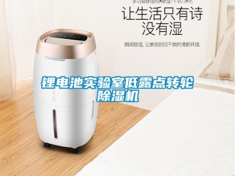常見問題鋰電池實驗室低露點轉輪除濕機