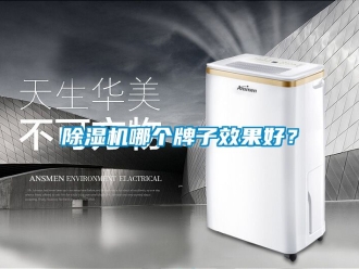 行業新聞除濕機哪個牌子效果好？