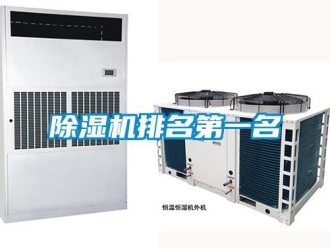 行業新聞除濕機排名第一名