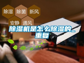 行業新聞除濕機是怎么除濕的_重復