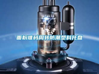 常見問題面粉堆碼周轉防潮塑料托盤