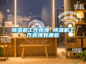 行業(yè)新聞除濕機工作原理 除濕機工作原理有哪些