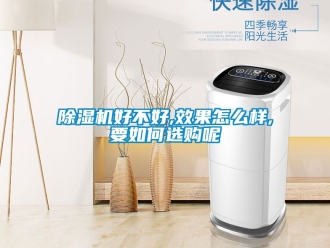 行業新聞除濕機好不好,效果怎么樣,要如何選購呢