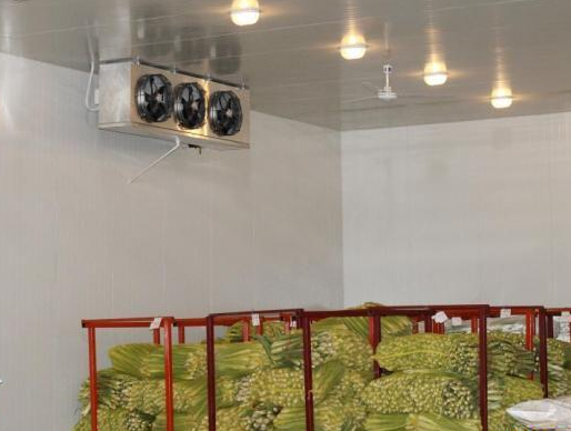 蔬果冷庫加濕處理解決方案 蔬果冷庫加濕處理解決方案